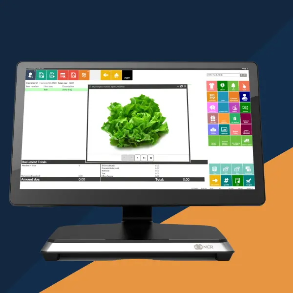 An image of a computer display monitor that is showcasing Rapid Grocery POS, a comprehensive and fully customizable system. The image is to show how to use POS machine in supermarket.